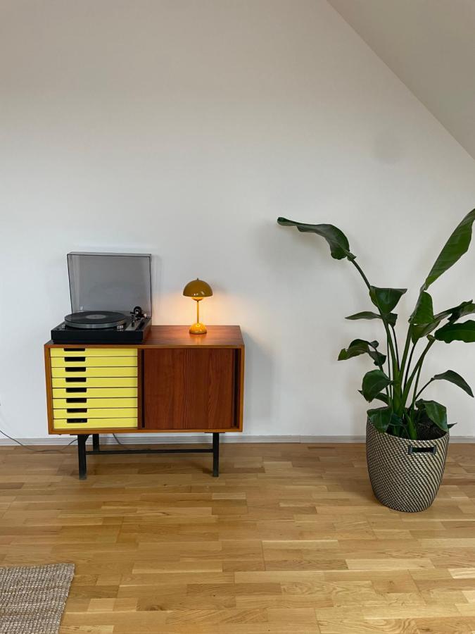 Schoene Apartments Auf Dem Weingut Schaetzel 니어슈타인 외부 사진